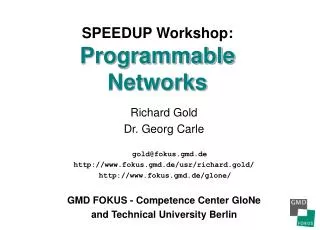 SPEEDUP Workshop: Programmable Networks