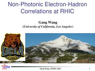 Non-Photonic Electron-Hadron Correlations at RHIC
