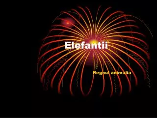 elefantii