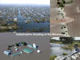 Catastrophic flooding of the Mississippi