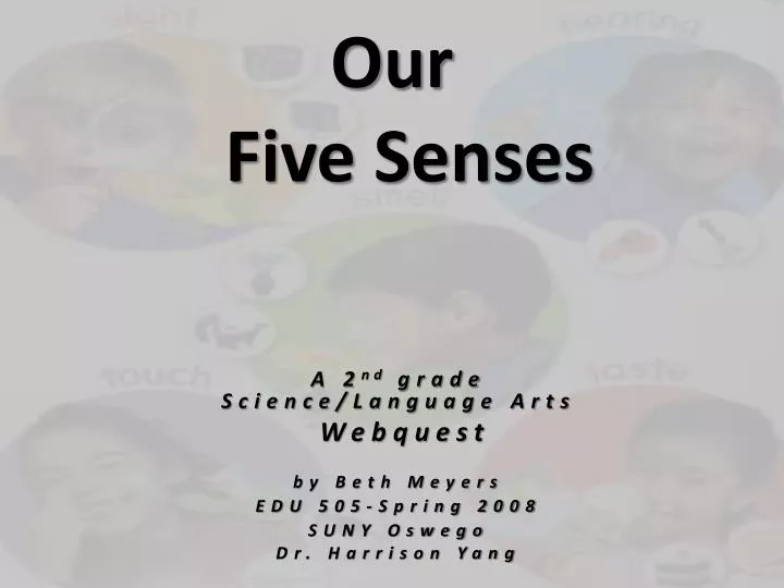 our five senses