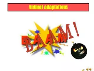 Animal adaptations