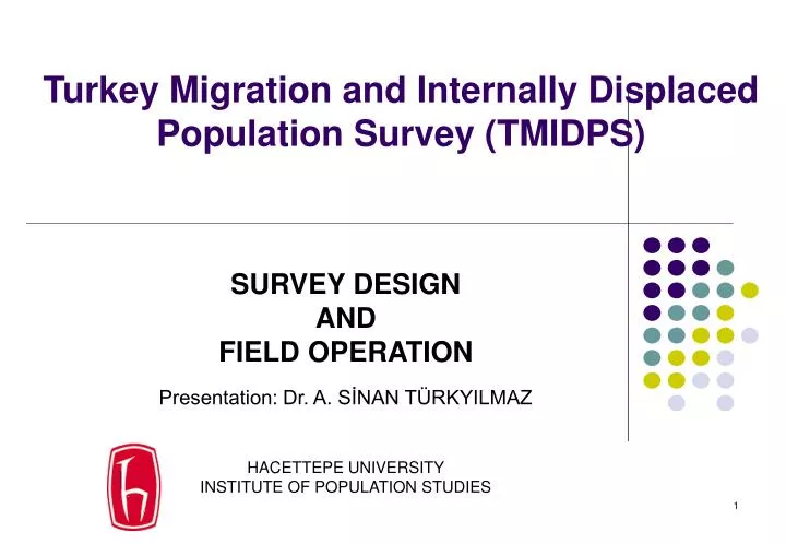 turkey migration and internally displaced population survey tmidps