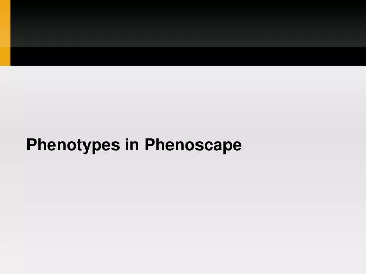 phenotypes in phenoscape