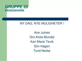 gruppe 20 personvern