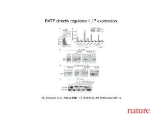 BU Schraml et al. Nature 000 , 1- 5 (2009) doi:10.1038/nature08114