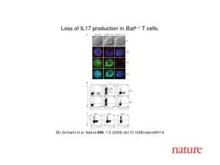 BU Schraml et al. Nature 000 , 1- 5 (2009) doi:10.1038/nature08114