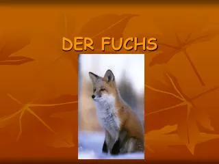 der fuchs