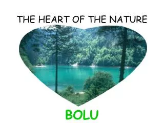 THE HEART OF THE NATURE