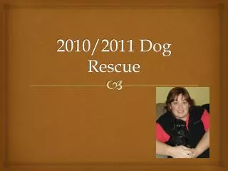 2010/2011 Dog Rescue