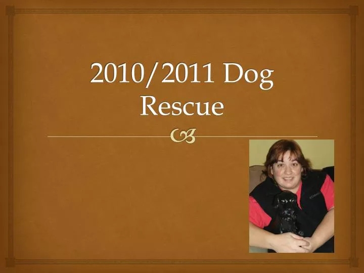 2010 2011 dog rescue
