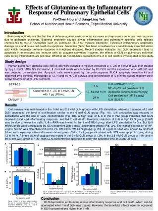 Effects of Glutamine on the Inflammatory Response of Pulmonary Epithelial Cells