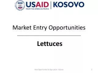 Market Entry Opportunities Lettuces