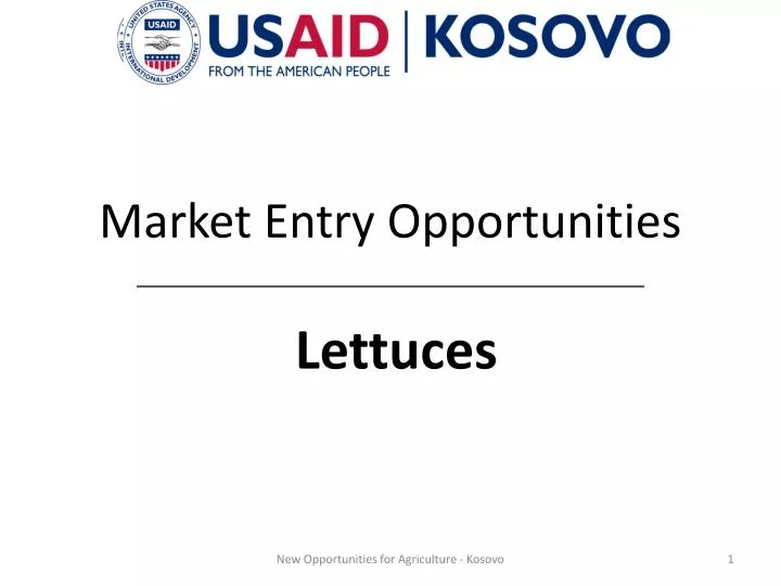 market entry opportunities lettuces