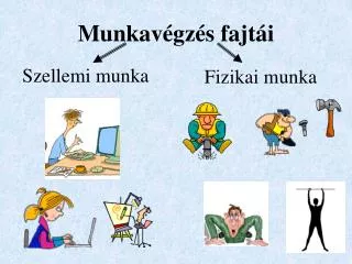 munkav gz s fajt i