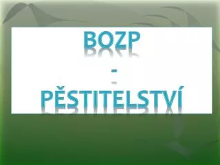 bozp p stitelstv