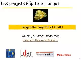 les projets p pite et lingot