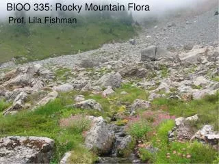 BIOO 335: Rocky Mountain Flora