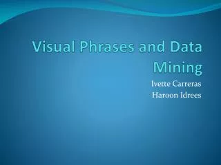 Visual Phrases and Data Mining