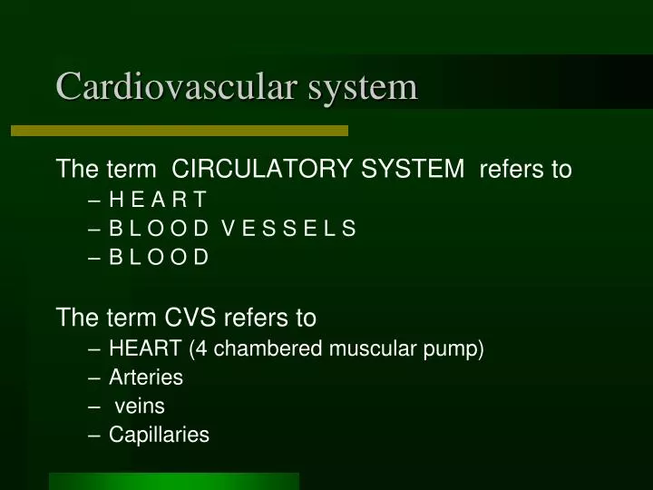 cardiovascular system