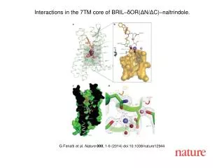 G Fenalti et al. Nature 000 , 1-6 (2014) doi:10.1038/nature12944