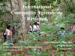 International Commodity Agreements Revisited