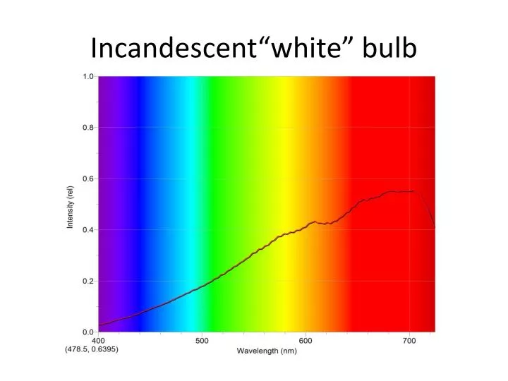 incandescent white bulb