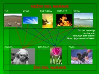 ŽIVI DEL NARAVE JE ODVISEN OD NEŽIVEGA DELA NARAVE. BREZ NJEGA NE MORE ŽIVETI!