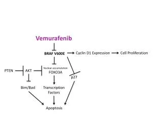 Vemurafenib