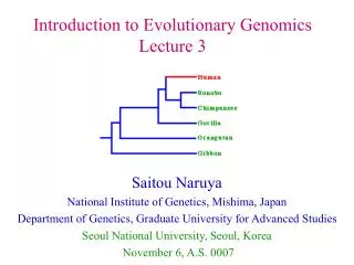 Saitou Naruya National Institute of Genetics, Mishima, Japan
