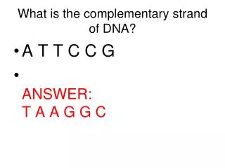 What is the complementary strand of DNA?