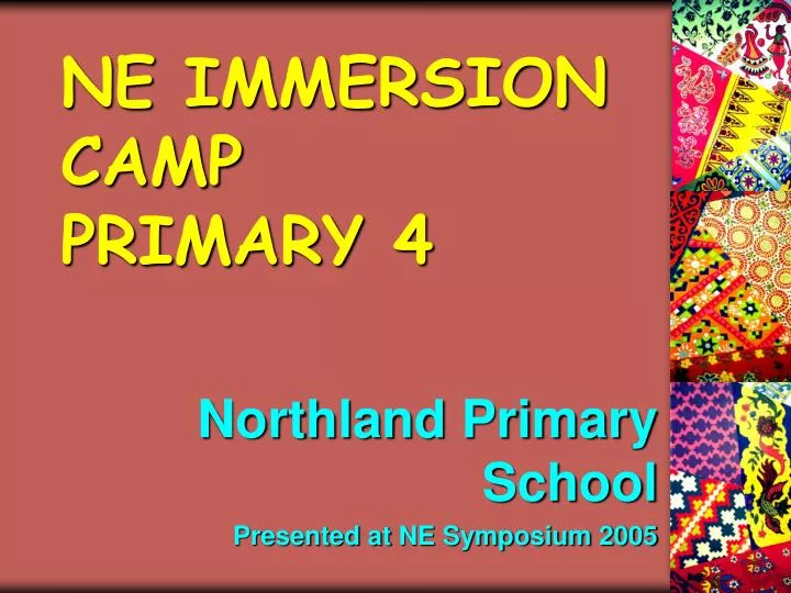 ne immersion camp primary 4