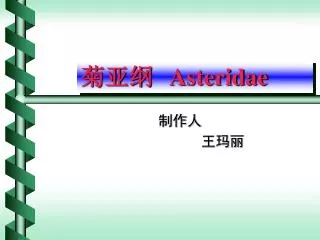 asteridae