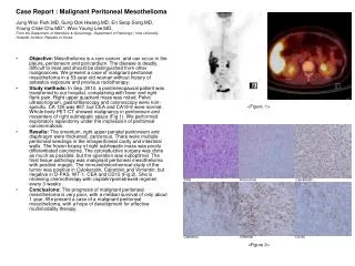 Case Report : Malignant Peritoneal Mesothelioma