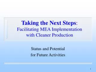 Taking the Next Steps : Facilitating MEA Implementation with Cleaner Production