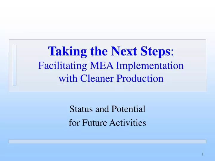 taking the next steps facilitating mea implementation with cleaner production