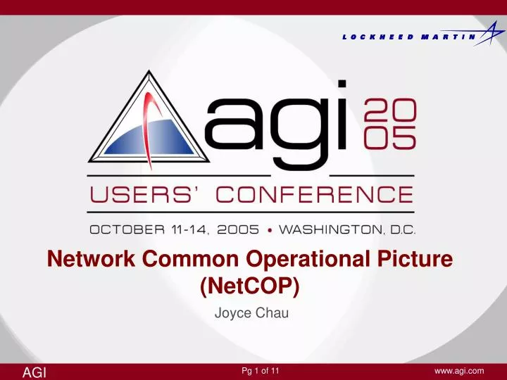 network common operational picture netcop