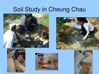 Soil Study in Cheung Chau