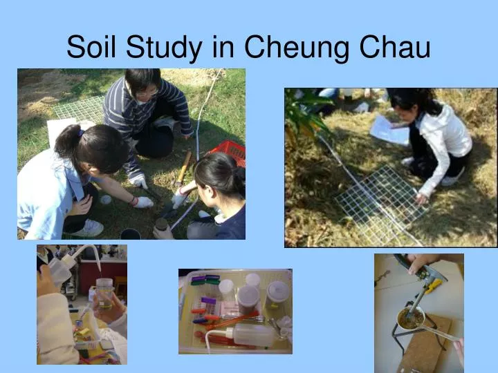 soil study in cheung chau