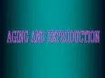 AGING AND REPRODUCTION - slide 1