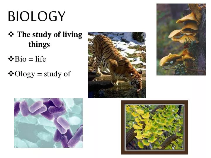 biology