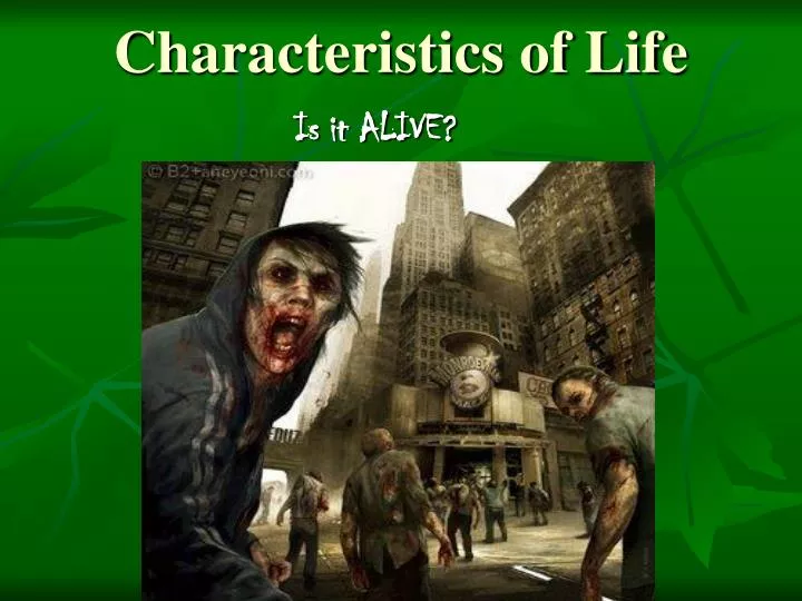 characteristics of life
