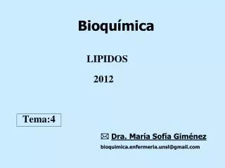 lipidos