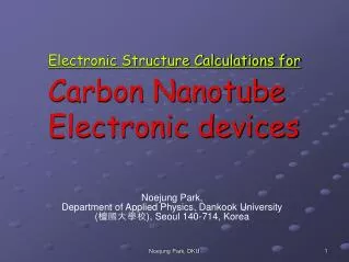 Electronic Structure Calculations for Carbon Nanotube Electronic devices