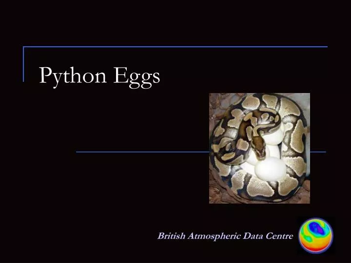 python eggs