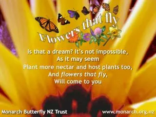 Monarch Butterfly NZ Trust