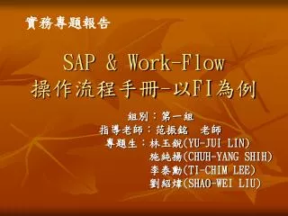 SAP &amp; Work-Flow ?????? - ? FI ??