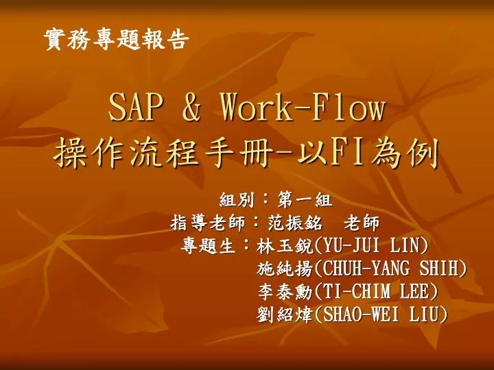 sap work flow fi