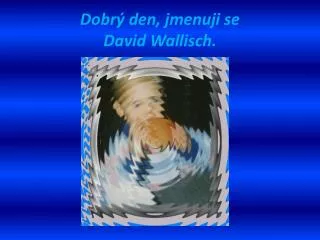 dobr den jmenuji se david wallisch