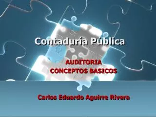 contadur a p blica